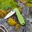 Moss Green 